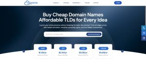 Start with a Cheap Domain