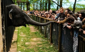 What Happened to the Animals After Glasgow Zoo Closed